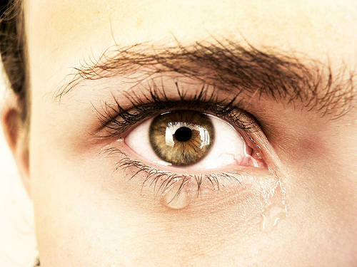 The Eye of Eliza